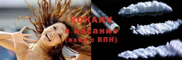 шишки Алексин