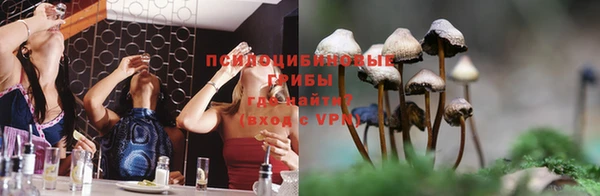 мяу мяу мука Алексеевка