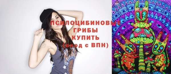 мяу мяу мука Алексеевка